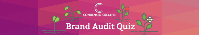 Brand audit quiz
